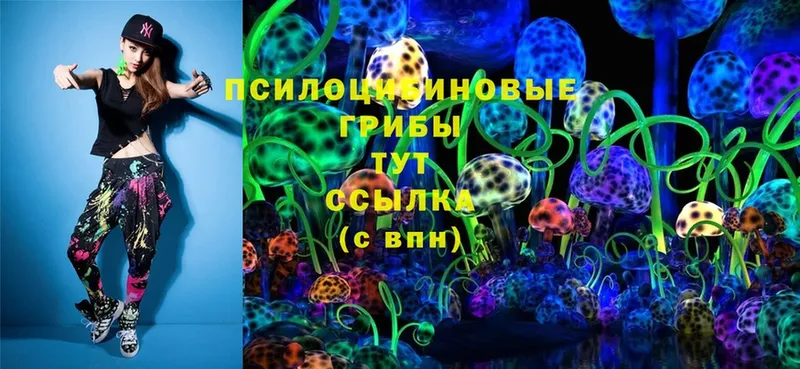 Псилоцибиновые грибы Psilocybe  Каспийск 